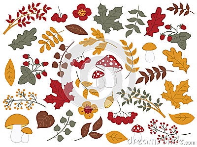 Vector Autumn Forest Set with Strawberries, Mushrooms, Leaves and Flowers Vector Illustration