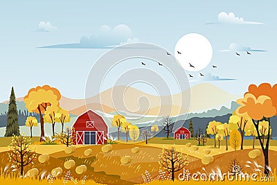 Vector Autumn panorama landscape farm field with orange sky, Beautiful sunset in Autumn countryside panorama view with yellow Stock Photo