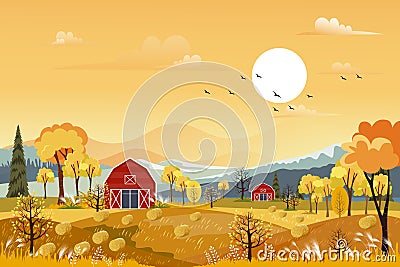 Vector Autumn panorama landscape farm field with orange sky, Beautiful sunset in Autumn countryside panorama view with yellow Vector Illustration