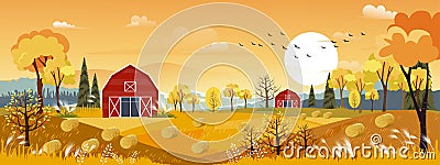 Vector Autumn panorama landscape farm field with orange sky, Beautiful sunset in Autumn countryside panorama view with yellow Vector Illustration