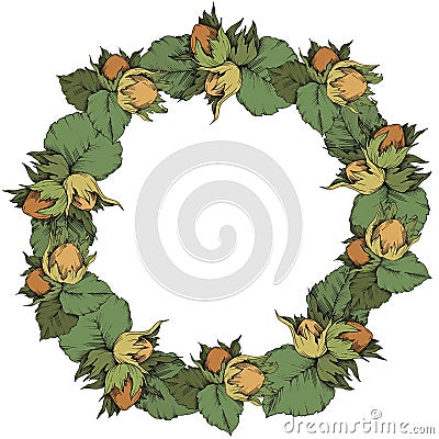 Vector autumn plant hazel nut. Leaf plant botanical garden floral foliage. Frame border ornament square. Vector Illustration