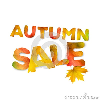 Vector Autumn sale vector background, poster or card template Vector Illustration