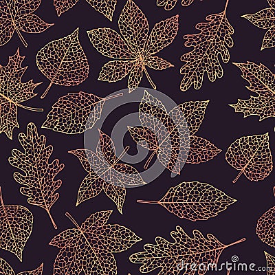 Vector autumn seamless pattern with oak, poplar, beech, maple, aspen and horse chestnut leaves outline on dark background Vector Illustration