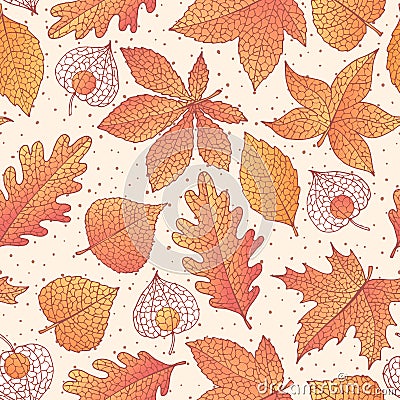 Vector autumn seamless pattern with oak, poplar, beech, maple, aspen and horse chestnut leaves and physalis Vector Illustration