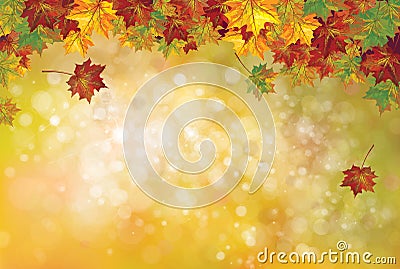 Vector autumnal leaves background. Vector Illustration