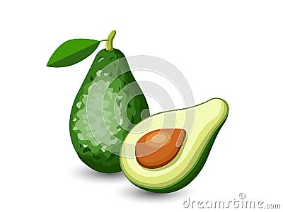 Vector Avocado fruits isolated on white background Vector Illustration