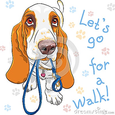 Vector baby dog Basset Hound breed Vector Illustration