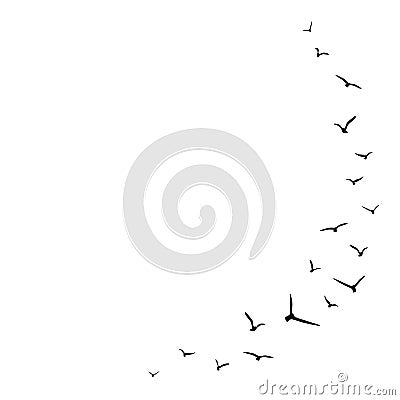 Vector background with flying birds on the right side Stock Photo