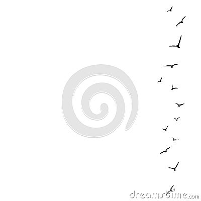 Vector background with flying birds on the right side Vector Illustration