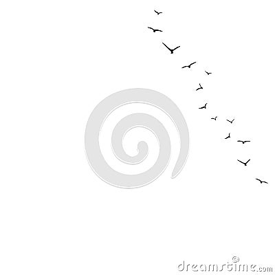 Vector background with flying birds on the right side Vector Illustration