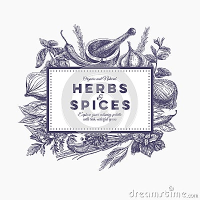 Vector background with hand drawn herbs and spices Vector Illustration