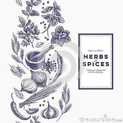 Vector background with hand drawn herbs and spices Vector Illustration