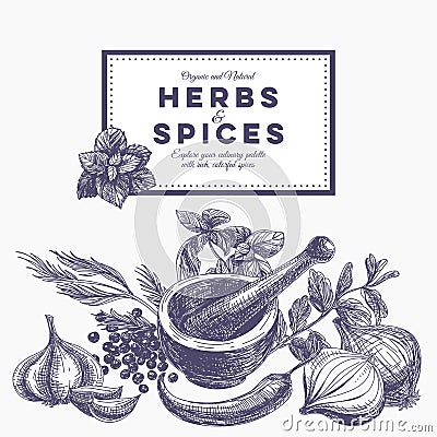 Vector background with hand drawn herbs and spices Vector Illustration