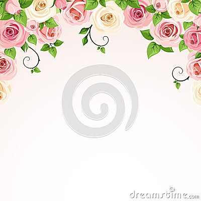 Vector background with pink and white roses. Vector Illustration