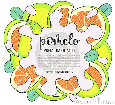 Vector background with pomelo, whole and pieces - Vector stock illustration isolated on white background. Card design Vector Illustration