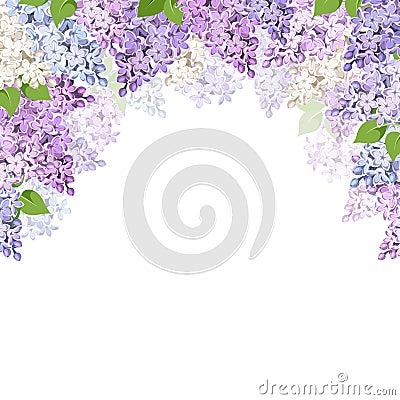 Background with lilac flowers. Vector illustration. Vector Illustration