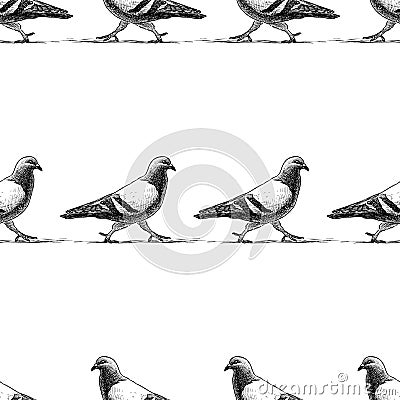 Seamless pattern of striding pigeons Vector Illustration