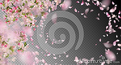 Spring Cherry Blossom Vector Illustration