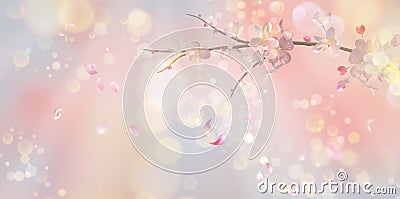 Spring Blossom Background Vector Illustration