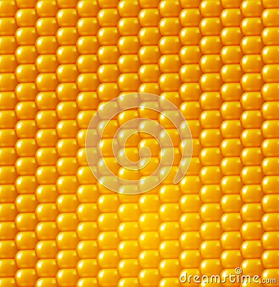 Vector background texture, yellow corn. design element Vector Illustration