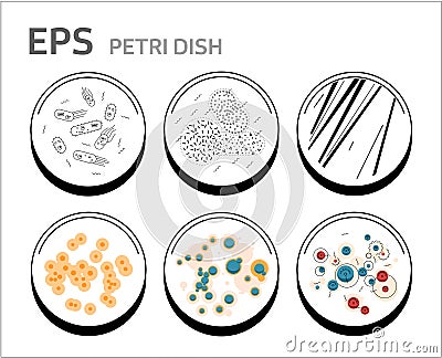 Vector bacteria cells in petri dishes isolated Stock Photo