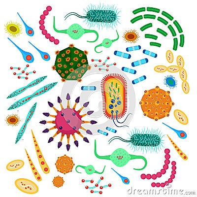 Vector Bacteria virus collection. Microbiology superbug, microorganisms and microbes epidemic infection bacilla germs Vector Illustration