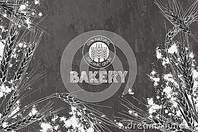 Vector bakery vintage background design. Concept for bakery menu, organic flour, grain and cereal products. Vector Illustration