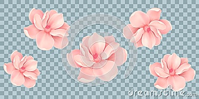 Vector Bali flowers border isolated on transparency grid background Vector Illustration