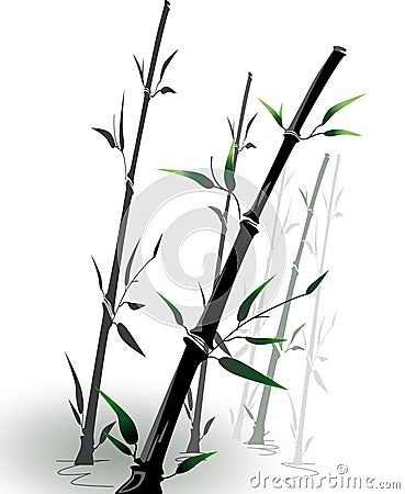 Vector bamboo Vector Illustration