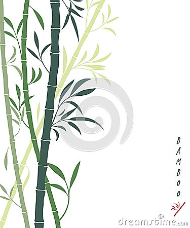 Vector bamboo background with dark and light green bamboo stems and leaves. Isolated on white, place for text, copyspace. Oriental Vector Illustration