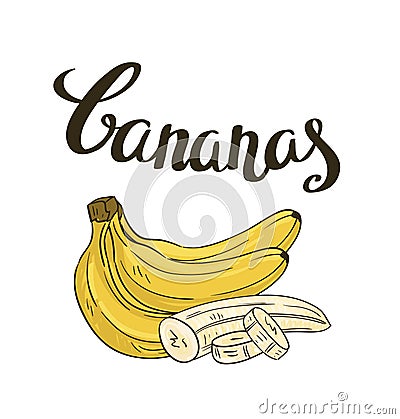 Vector bananas isolated on the white background. Vector Illustration