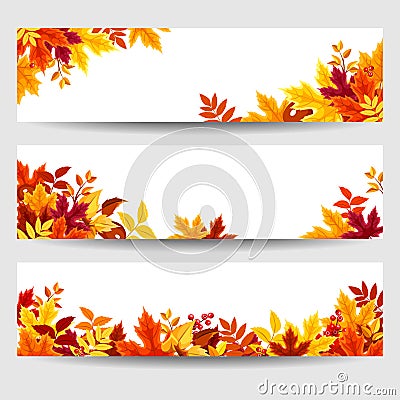 Vector banners with colorful autumn leaves. Vector Illustration