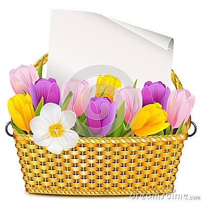 Vector Basket with Tulips Vector Illustration