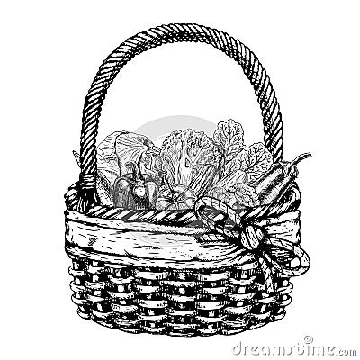 Vector basket with vegetables Vector Illustration