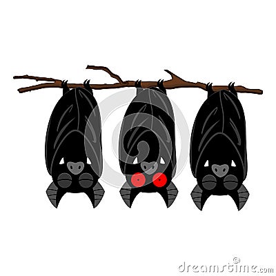 Vector bats hanging on the branch Vector Illustration