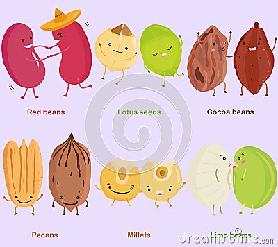 Vector of Bean, Nut, Seed - Red bean, Lotus seed, Cocoa bean, Pecan, Millet, Lima bean. Stock Photo