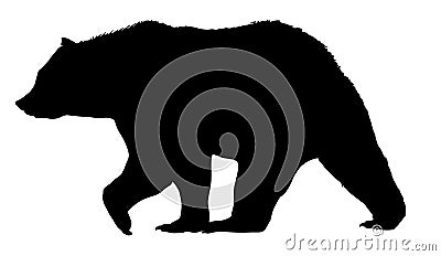 Vector bear silhouette isolated on white background Vector Illustration