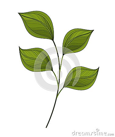 Vector Beautiful Leaf Vector Illustration