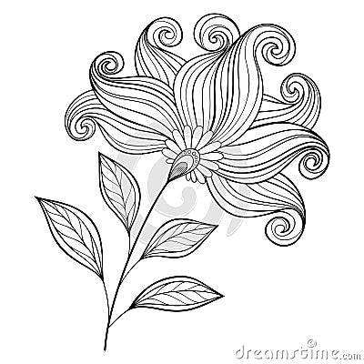 Vector Beautiful Monochrome Contour Flower Vector Illustration