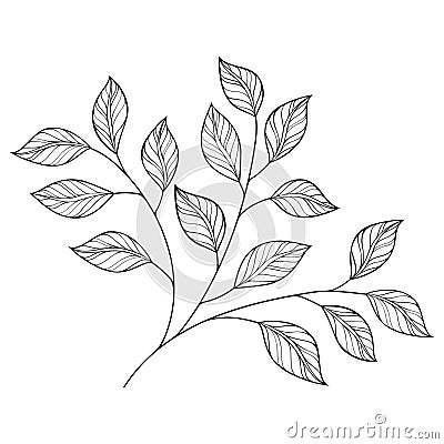 Vector Beautiful Monochrome Contour Leaf Vector Illustration