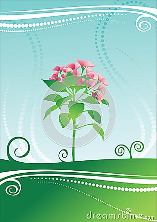 Vector beauty flower Vector Illustration