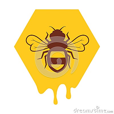 Vector bee and honeycomb icon Vector Illustration