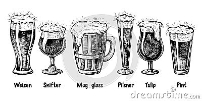 Vector beer glass types, vintage engraving. Foamy beer in different glasses: weizen, pilsner, tulip, snifter, pint, mug. Vector Illustration