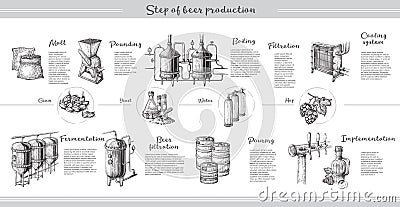 Vector beer infographics with illustrations of brewery process. Vector Illustration