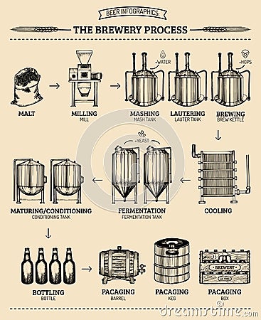 Vector beer infographics with illustrations of brewery process. Ale producing design. Lager production sketched scheme. Vector Illustration