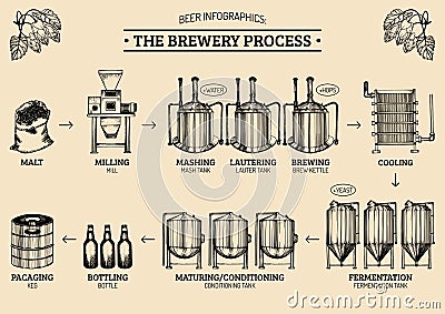 Vector beer infographics with illustrations of brewery process. Ale producing design. Lager production sketched scheme. Vector Illustration