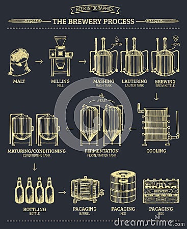 Vector beer infographics with illustrations of brewery process. Ale producing design. Lager production sketched scheme. Vector Illustration