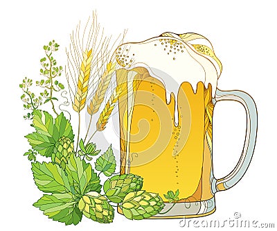 Vector beer mug with outline Hops or Humulus and ornate wheat ears on white background. Glass with lager beer. Vector Illustration