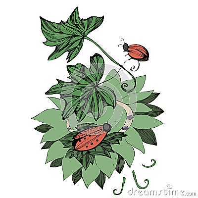 Vector beetles crawling on leaves Vector Illustration