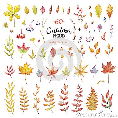 Vector Big Set of red autumn watercolor elements - berries and leaves.. Collection garden, wild foliage and branches Vector Illustration